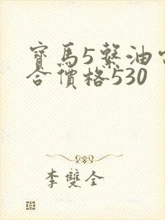 宝马5系油电混合价格530