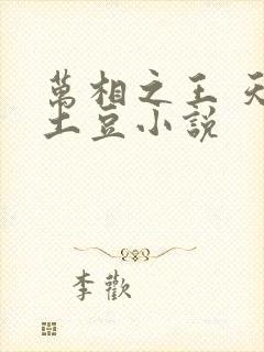 万相之王 天蚕土豆小说