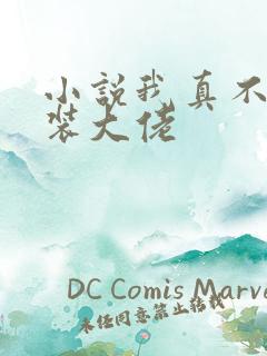 小说我真不是女装大佬