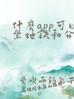 什么app可以坐地铁和公交