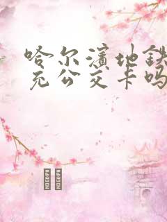 哈尔滨地铁站能充公交卡吗