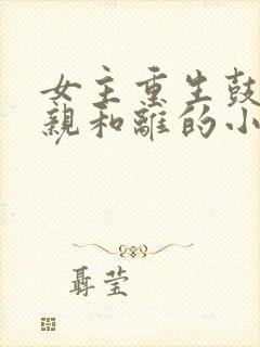 女主重生鼓励娘亲和离的小说