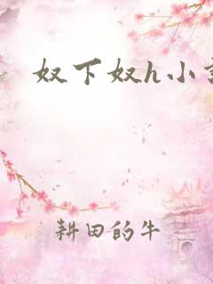 奴下奴h小说