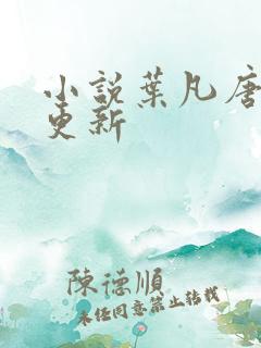 小说叶凡唐若雪更新