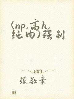 (np,高h,纯肉)强制