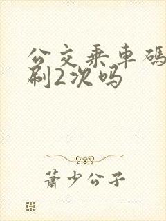 公交乘车码可以刷2次吗