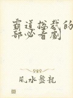 霸道总裁的10部必看剧