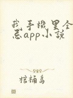 我手机里全是禁忌app小说