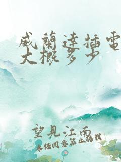 威兰达插电混动大概多少
