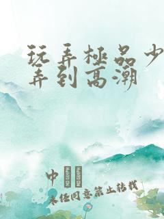 玩弄极品少妇被弄到高潮