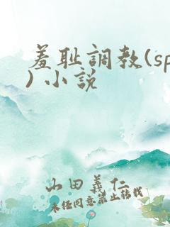 羞耻调教(sp) 小说