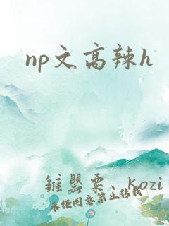np文高辣h