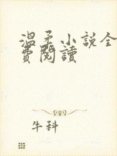温柔小说全文免费阅读