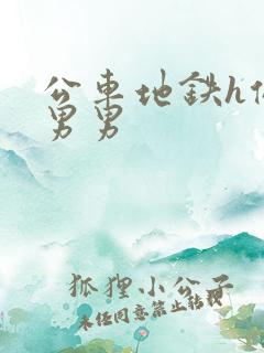 公车地铁h侵犯男男