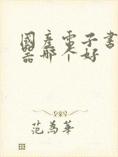 国产电子书阅读器哪个好