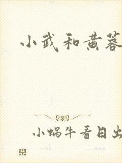 小武和黄蓉