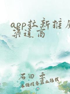 app拉新推广渠道商