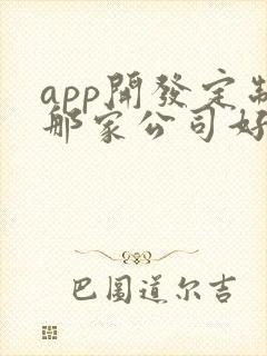 app开发定制那家公司好