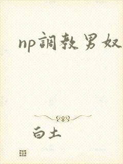 np调教男奴