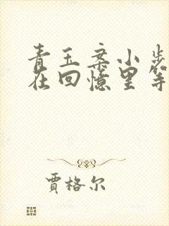 青玉案小步w我在回忆里等你