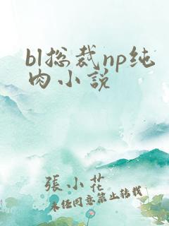 bl总裁np纯肉小说