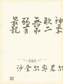 最弱无败神装机龙有第二季吗