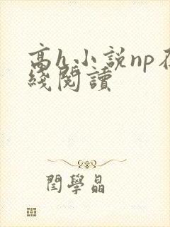 高h小说np在线阅读