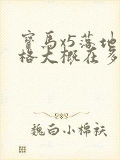 宝马x5落地价格大概在多少钱2024