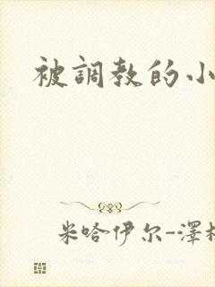 被调教的小说h