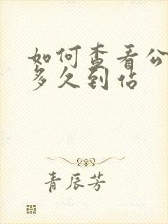 如何查看公交车多久到站