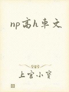 np高h车文 np高h车文