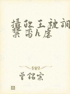 摄政王被调教成禁脔h虐