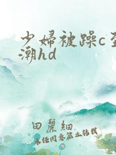 少妇被躁c至高潮hd