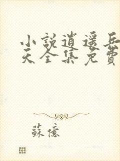 小说逍遥兵王洛天全集免费阅读