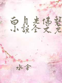 白月光佛系日常小说全文免费阅读