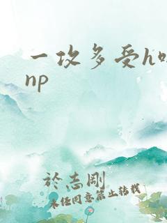 一攻多受h啪肉np