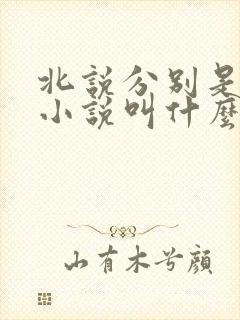 北说分别是原著小说叫什么