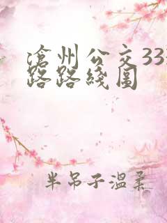 沧州公交333路路线图