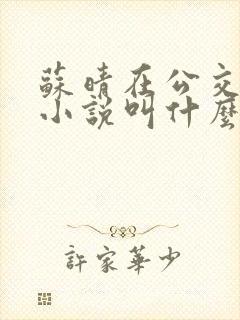 苏晴在公交上的小说叫什么