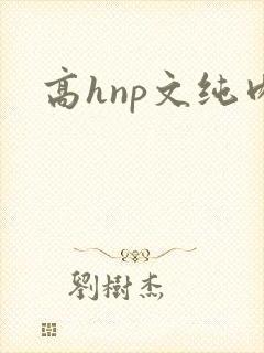 高hnp文纯肉