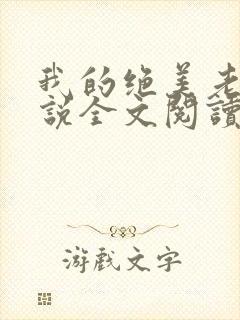 我的绝美老公小说全文阅读