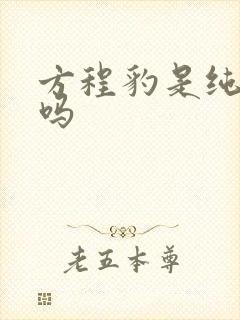 方程豹是纯电的吗