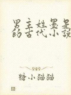 男主姓墨是王爷的古代小说