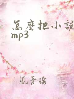 怎么把小说导入mp3