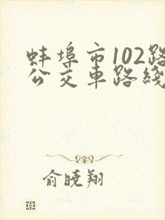 蚌埠市102路公交车路线图