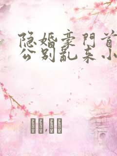 隐婚豪门首席老公别乱来小说 隐婚豪门首席老公别乱来小说