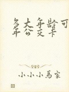 多大年龄可办老年公交卡 多大年龄可办老年公交卡