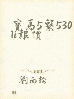 宝马5系530li报价 宝马5系530li报价