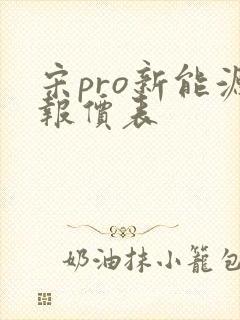 宋pro新能源报价表