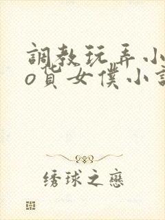 调教玩弄小sao货女仆小说